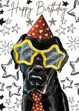 Cute Birthday Card - Dog - Star Sunglasses created by Dotts Yard