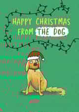 Funny Christmas Card - From The Dog - Derpy Golden Retriever created by Sarah Harding