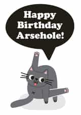 Cheeky Birthday Card - Arsehole - Cheeky Cat Card created by Studio Boketto