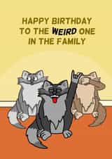 Funny Birthday Card - Cats - To The Weird One In The Family created by Cheeky Boar