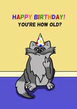 Funny Birthday Card - Cat - You're How Old? created by Cheeky Boar