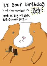 Funny Birthday Card - Guinea Pig - Big Birthday created by Blueberry Magpie Cards