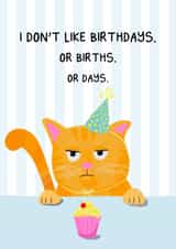 Funny Birthday Card - Cat - Cupcake created by ellavation studio