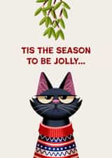 Funny Christmas Card - Grumpy Cat - Tis The Season To Be Jolly... created by Folio | Ian Owen