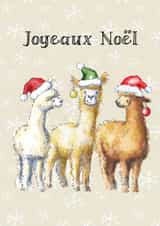 Cute Christmas Card - Llamas - Joyeaux Noël created by Kate Garrett