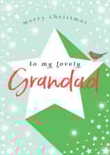 Classic Christmas Card - For A Lovely Grandad - Robin created by Michelle Fiedler Design