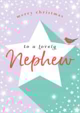 Classic Christmas Card - For A Lovely Nephew - Robin created by Michelle Fiedler Design