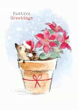 Cute Christmas Card - Hedgehog In Flower Pot - Festive Greetings created by Paper Shed Design