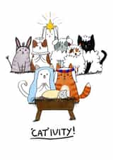 Funny Christmas Card - Cat Nativity created by Skipping Wren