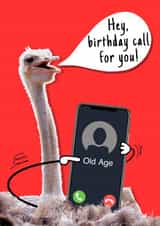 A funny 'call' for those well qualified at celebrating birthdays created by Happy Little Me Co.