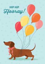 Cute Birthday/Congratulations Card - Hip Hip Hooray! - Dachshund created by Milkbar Studio