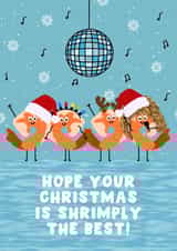 Funny Christmas Card - Shrimply The Best - Tina Turner created by Pink Peach Cards