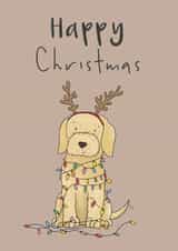 Cute Christmas Card - Cockerpoo - Christmas Lights created by Lucy Driver