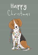 Cute Christmas Card - Beagle - Lights created by Lucy Driver
