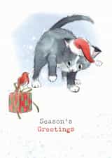 Cute Christmas Card - Seasons Greetings - Cat And A Robin created by Paper Shed Design