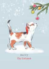 Cute Christmas Card - Merry Christmas - Cat Looking At Baubles created by Paper Shed Design