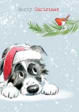 Cute Christmas Card - Merry Christmas - Collie Dog & Robin created by Paper Shed Design