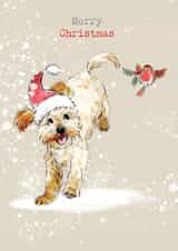 Cute Christmas Card - Merry Christmas - Jumping Cockapoo & Robin created by Paper Shed Design
