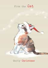 Cute Christmas Card - From The Cat - Kitten Illustration created by Paper Shed Design