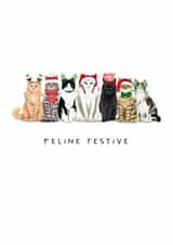 Funny Christmas Card - Feline Festive - Cats created by badgerbee design