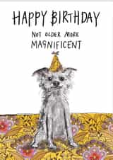 A funny birthday card for the older person in your life created by Tipperleyhill