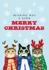 Funny Christmas Card - Cats In Christmas Jumpers - Snowflakes created by badgerbee design