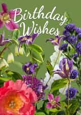 pretty floral birthday card for female friend or loved one created by Loui's Funky card Designs