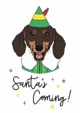 Cute Christmas Card - Santa's Coming! - Dachshund created by Georgia Fry