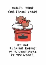 Funny Christmas Card - It's Got Fucking Robins On It created by mungo and shoddy