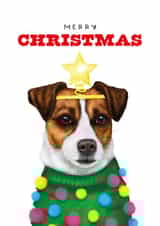 Jack Russell Christmas Card - From the dog - Jack Russell Terrier Owner created by badgerbee design