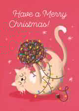 Cute Christmas Card - From The Cat - Cat Playing With Christmas Lights created by Stormy Knight