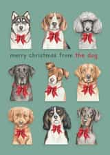Cute Christmas Card - Merry Christmas From The Dog - Bowties created by lil wabbit