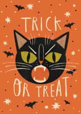 Fun Halloween Card - Black Cat & Bats - Spooky Vibes created by Alice Mole Illustration