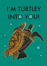 Funny, naughty anniversary or Valentine turtle card for your love interest created by Chindian Artist