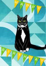 Cat Birthday card with Tuxedo cat and bunting created by Magenta Rose Designs