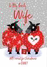 cute Christmas card for your Wife - funny sheep wearing Christmas pyjamas design created by REBECCA MCCULLOCH