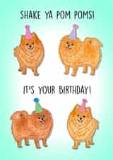 Cute Birthday Card - Pomeranian - Shake Ya Pom Poms! created by Poppy & Mabel