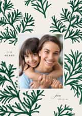 Personalised Christmas Photo Card created by Vivian Yiwing - Classic Christmas Card - Pine Tree Spruces