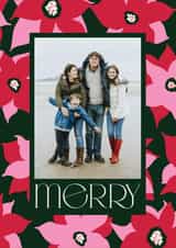 Personalised Christmas Photo Card created by Shari Margolin Design - Arty Christmas Card - Poinsettia