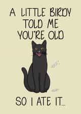 Funny Birthday Card | Cat Lover | Comical Cards created by Quirky Doodles