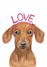Cute Valentine's Day Card - Dachshund - Love created by lil wabbit