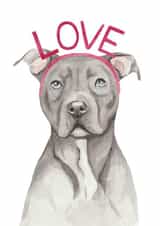 Cute Valentine's Day Card - Staffordshire Bull Terrier - Love created by lil wabbit
