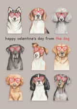 Cute Valentine's Day Card - From The Dog - Heart Sunglasses created by lil wabbit