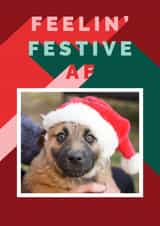 Personalised Christmas Photo Card created by Cindy Reynolds - Funny Christmas Card - Feelin' Festive AF