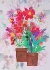 Flower and Fern Pots created by Sally Taylor