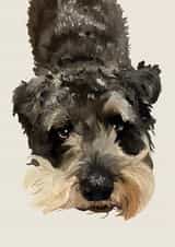Cute Birthday/Just Because Card - Schnauzer - Puppy Eyes created by Freya Fuller