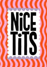 Funny Valentine's Day Card - Nice Tits created by Nicola Watson