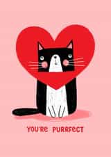 Cute Valentine's Day Card - You're Purrfect created by Nicola Watson