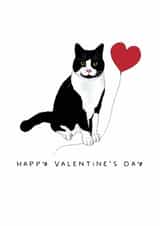 Cute Valentine's Day card - From the Cat - Black and White Tuxedo Cat created by badgerbee design