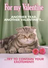 Funny Valentine's Card - Grumpy Cat created by Quitting Hollywood